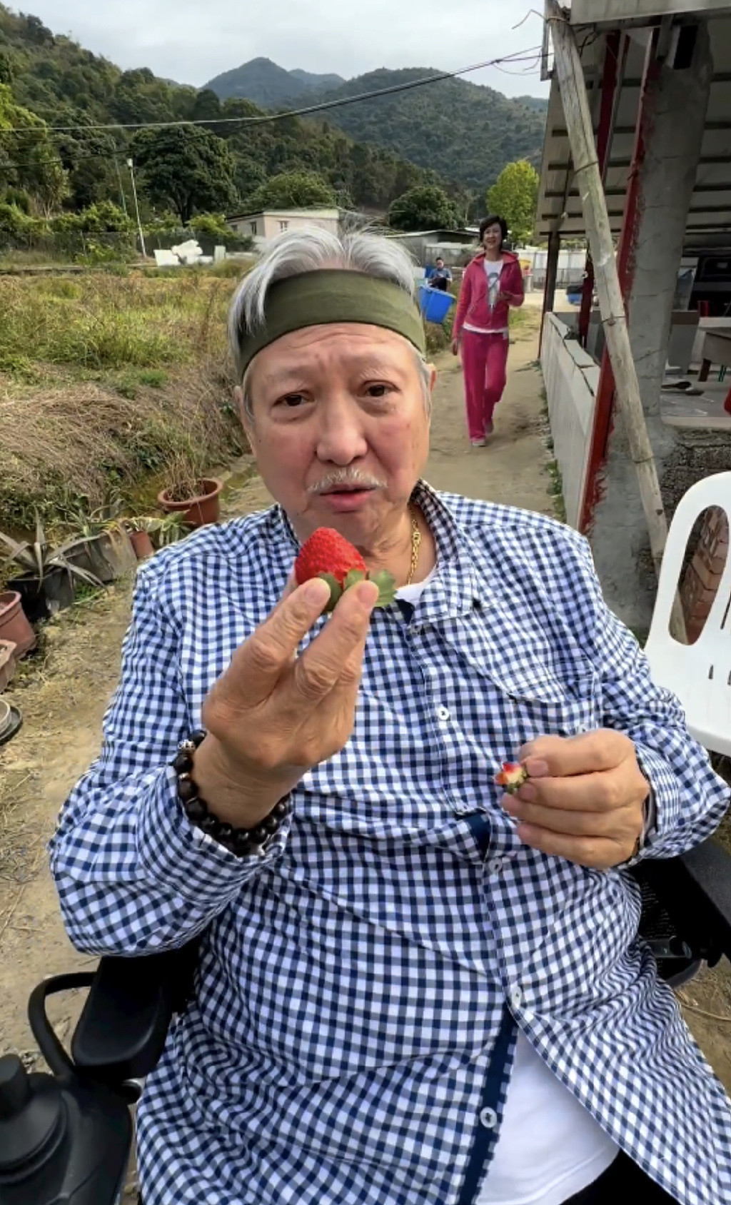 洪金宝71岁生日乐享农家乐，坐轮椅与孙子摘草莓，满头白发很精神 - 3