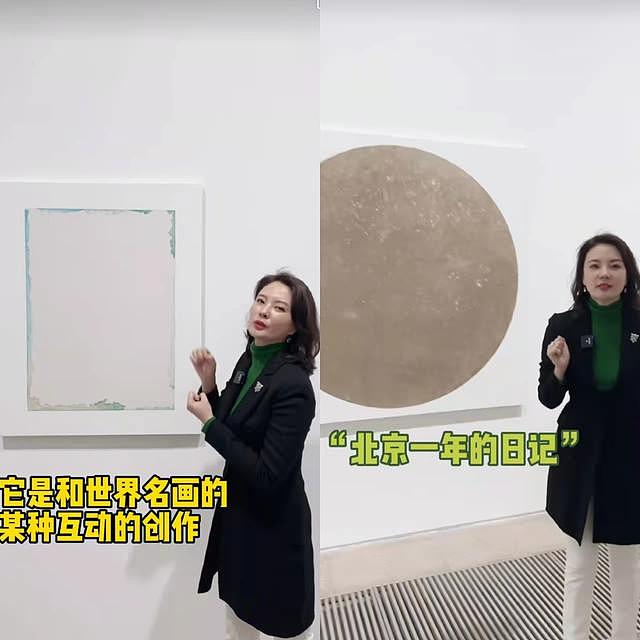 刘芳菲分享看展视频引争议，侃侃而谈聊艺术，网友直呼看不懂 - 3