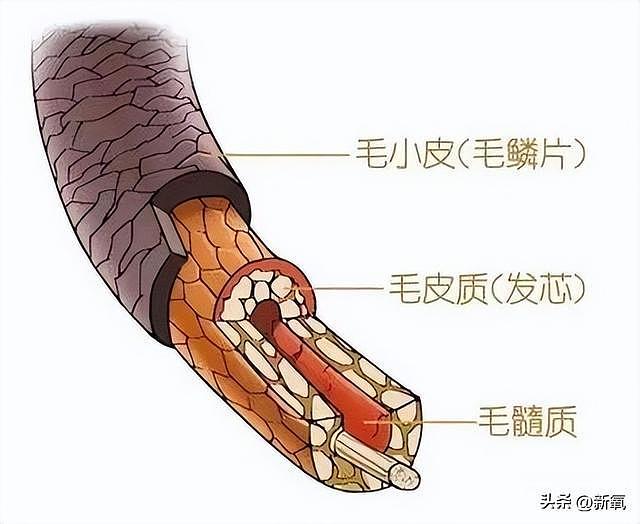 凭她这财力和美貌程度，傍上她直接喜提日娱最强赘婿 - 12