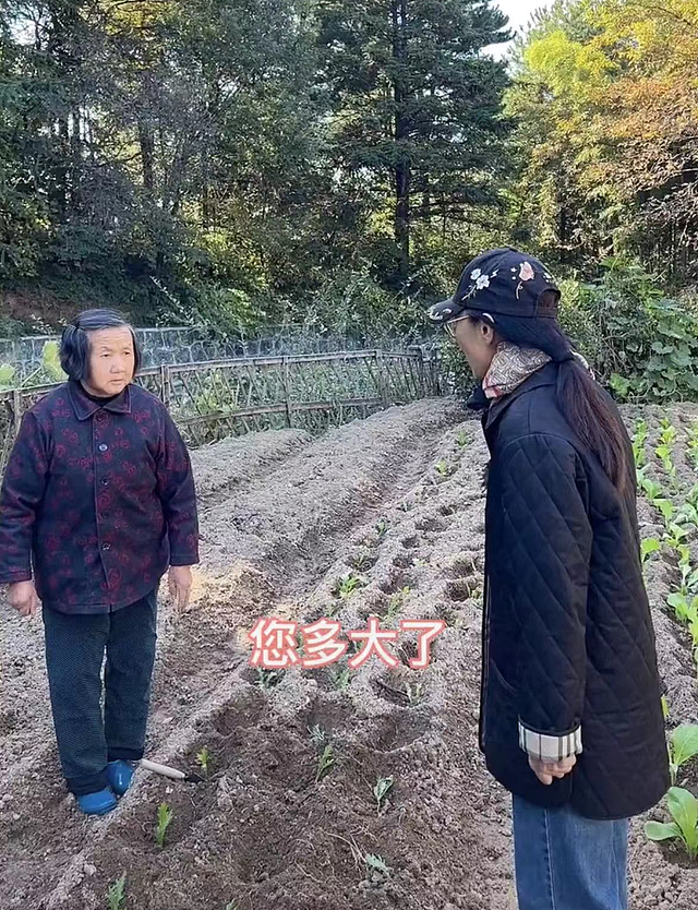 60岁吴琼回安徽农村老家，穿九千五外套站泥土地里，种菜姿势熟练 - 1