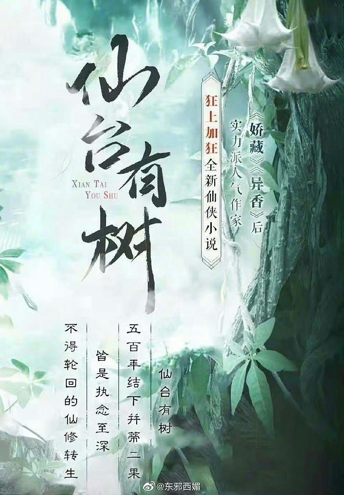 传白敬亭和鞠婧祎要拍仙侠剧《仙台有树》…… - 9