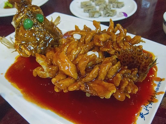 松子桂鱼。图片来源：wikimedia