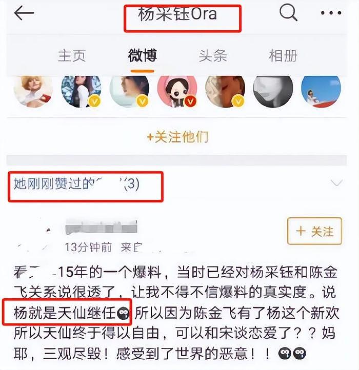 刘亦菲与干爹陈金飞街边热聊，女方捂嘴大笑，两人互动自然毫不避嫌 - 21