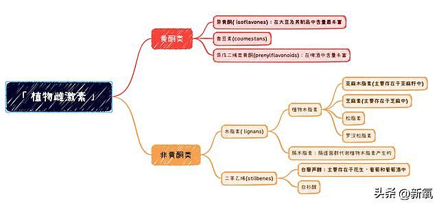 怪不得女明星都那么有危机感，看看曾经荷尔蒙爆棚的她就知道了 - 20