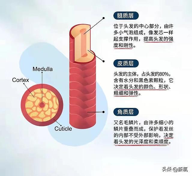 凭她这财力和美貌程度，傍上她直接喜提日娱最强赘婿 - 13