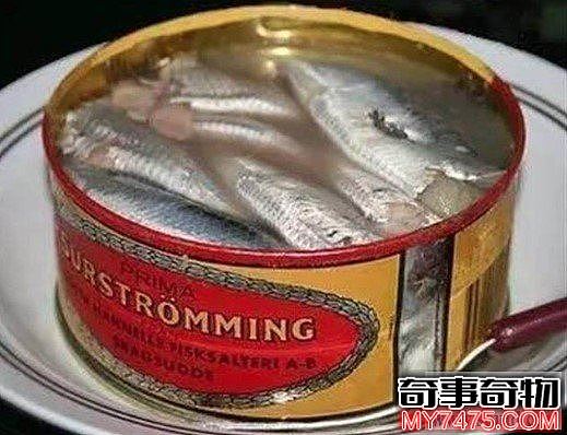 世界上最臭的食物鲱鱼罐头