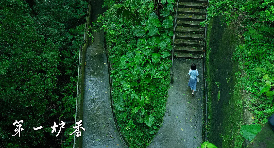 第一炉香豆瓣5.9分，马思纯学生装惊艳，拉低分数的反而是俞飞鸿 - 4