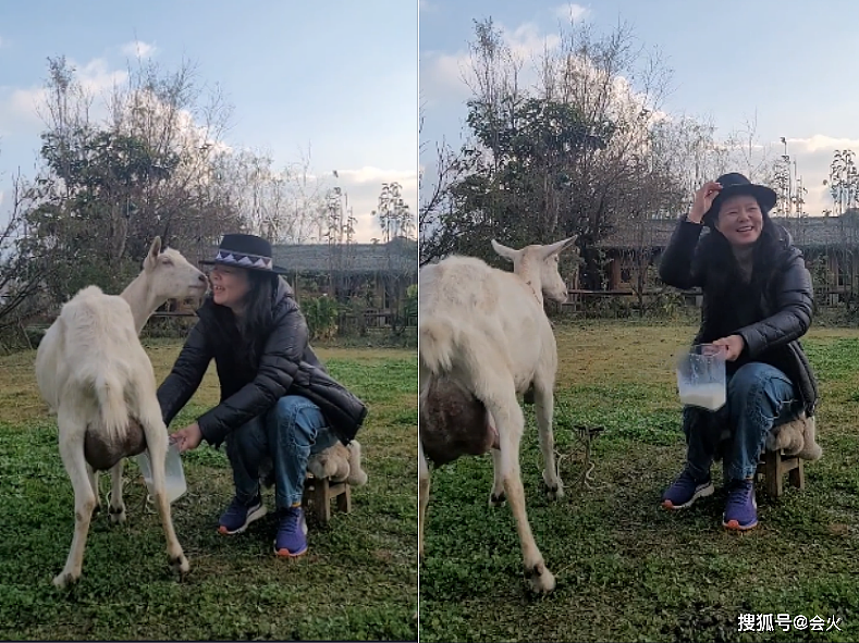 46岁龚琳娜草地上挤羊奶！姿势熟练大声高歌，被羊亲吻一脸兴奋 - 3