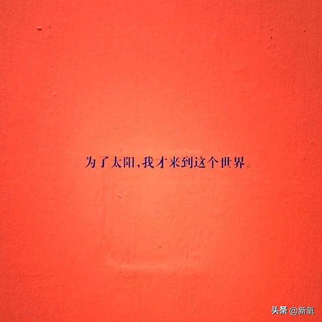 多次发癫被骂上热搜，却又美到让所有人闭嘴 - 2