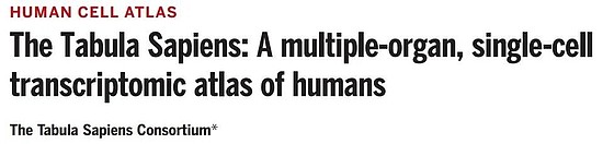 四文齐发！迄今最全人类细胞图谱登上《科学》封面，书写人体百科全书 - 2
