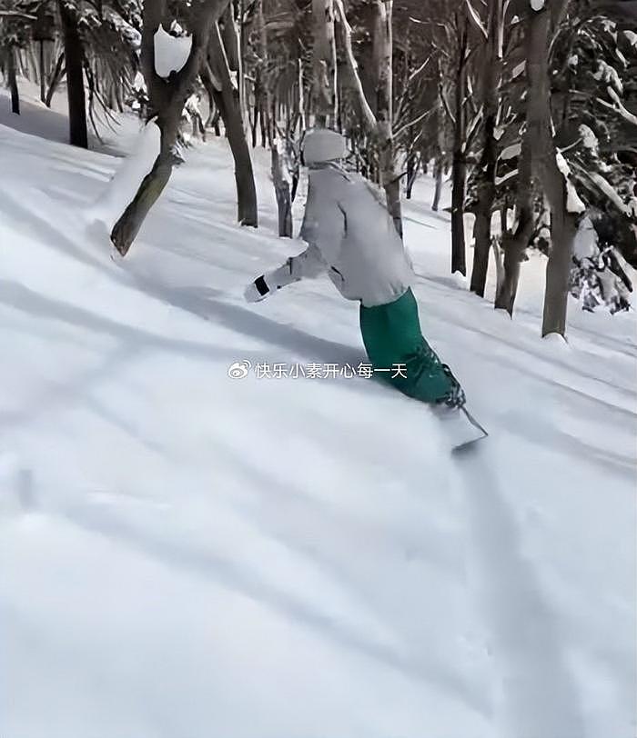 “沪上皇”秦奋苦练滑雪，空中翻腾很帅，和王思聪同样优秀 - 9