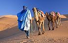 马拉喀什/非斯进出 摩洛哥撒哈拉沙漠团 3天2晚私人游（1人起订天天发团+骑骆驼＋观星＋豪华帐篷+看日出日落+24h双语线上管家）