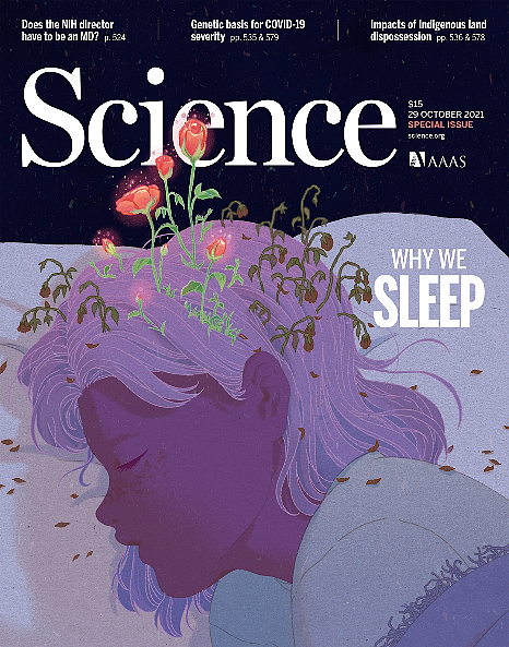 『珍藏版』Science综述｜睡眠大脑的记忆调控 - 2