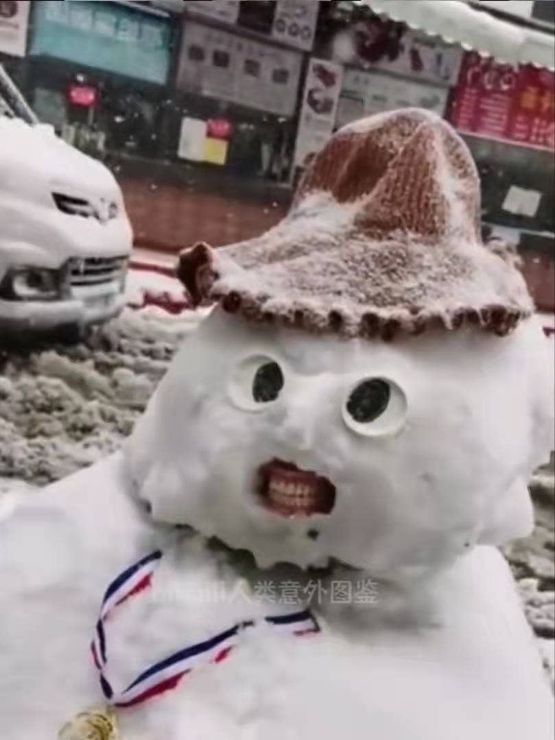一年一度雪人大赏！哈尔滨实现雪人自由，堆雪人成美术生专场？ - 36