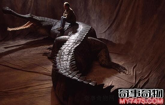 史前最大的鳄鱼 吃恐龙的帝鳄 长13米 重4.5吨