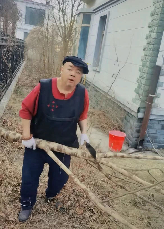 49岁演员分享河北农村生活，拿刀砍野树动作吃力，为春耕忙前忙后 - 4