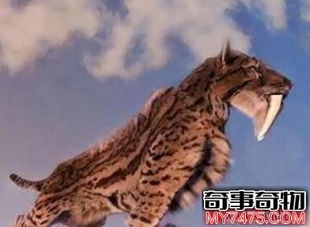 古代最强生物剑齿虎（剑齿虎在多少亿年前灭绝的）
