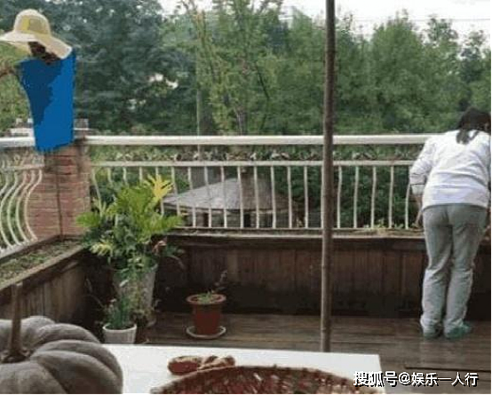 演员周杰的豪宅，带有私人泳池，阳台还种着蔬菜 - 4