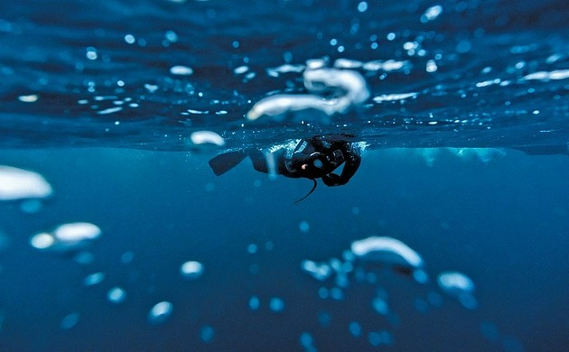 潜水员穿着厚厚的潜水衣进入海水的时候，水温仅有4摄氏度，刺骨寒冷的海水刺痛着面部，让他难以呼吸。