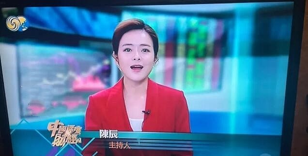 东方卫视的一姐陈辰，毫无征兆地加入凤凰卫视当主持人 - 2