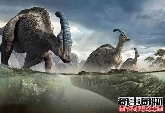 史前最大的鳄鱼 长12米的恐鳄 生吃暴龙