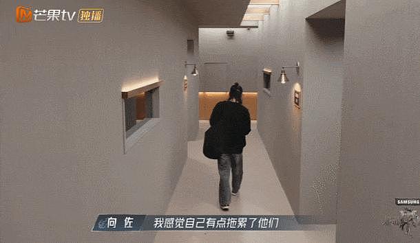 向佐“退赛”风波：披哥浪姐十大名场面，每一个都值得细品！ - 5