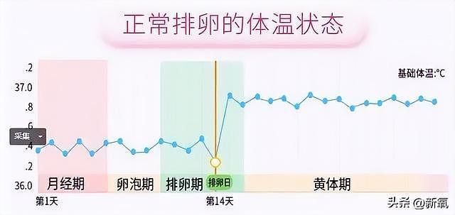 比赛输了就该吃避孕药？凭什么要对郑钦文这么大恶意 - 27