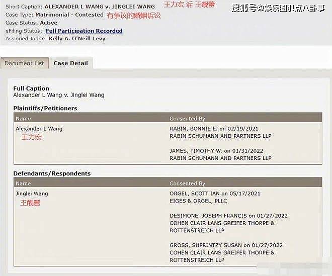 王力宏离婚官司明日开庭 李靓蕾新增7项证据对决 - 3