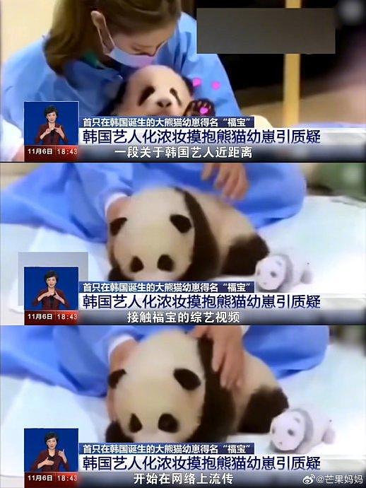 原来2020年BLACKPINK因带妆抚摸熊猫引争议事件中的熊猫宝宝… - 3