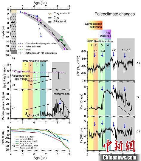 HMD13年代框架（a）及早全新世时期中国东部环境变迁（b、c、d）以及古气候指标（e、f、g）。　中科院古脊椎所 供图