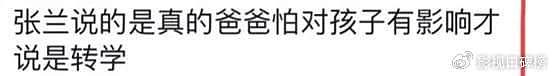 大S斥责张兰造谣孩子被退学，汪小菲澄清是转学，不要乱评价 - 12