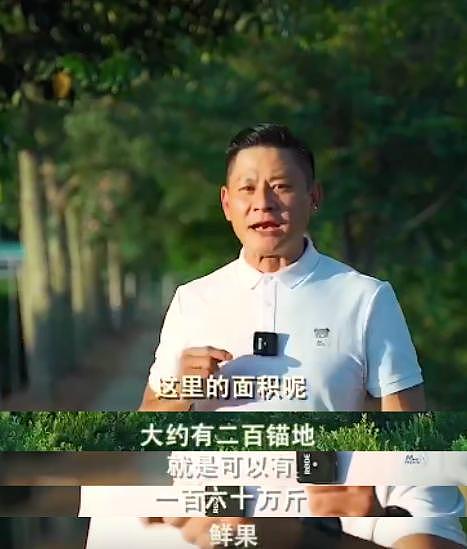 32岁港星何佩瑜内地拍电影，被曝年收入创纪录，欲携父母定居上海 - 13