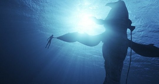《阿凡达2：水之道》释出首波剧照 探索潘多拉海底世界 - 2
