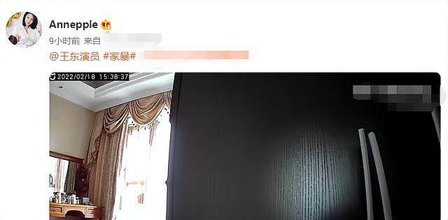 演员王东家暴视频曝光，掐妻子脖子用木板殴打，本人发文道歉 - 1
