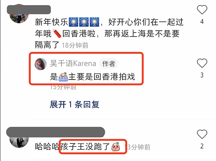 吴千语和胡杏儿母子春节小聚，画风和谐温馨，再破不和传闻 - 4