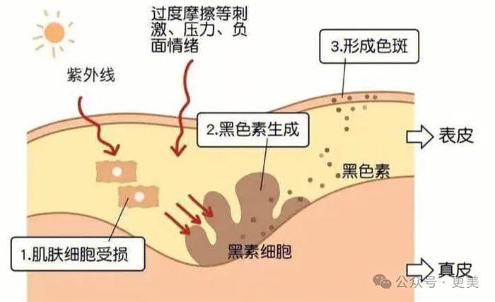 16岁童星不是长残了吗？咋忽然美成颜巅期大S！… - 31