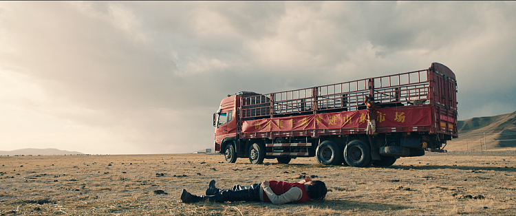 电影《牛王》10月18日温暖上映藏族少年千里夺牛开启治愈之旅 - 3