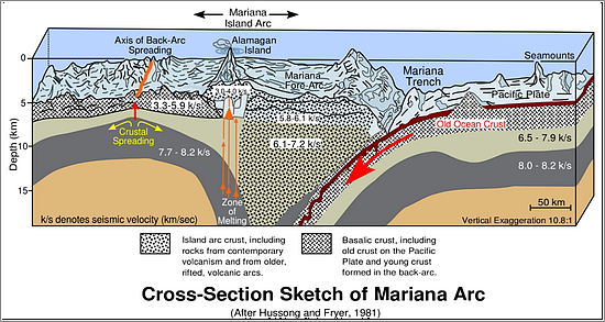 神秘“深海鱼”，首次闯入马里亚纳海沟10900米深处 - 1