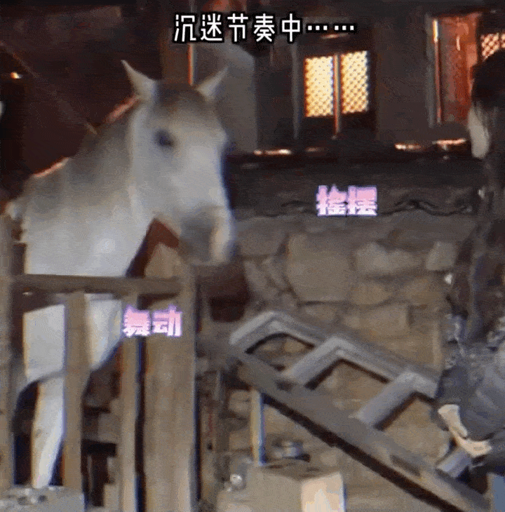 刘亦菲片场和马搞笑互动 同步摇头晃脑超可爱 - 3
