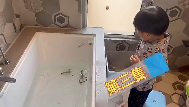 TVB小生黎诺懿让儿子在家抗疫不无聊 将浴缸改钓虾场让儿子解闷 - 5
