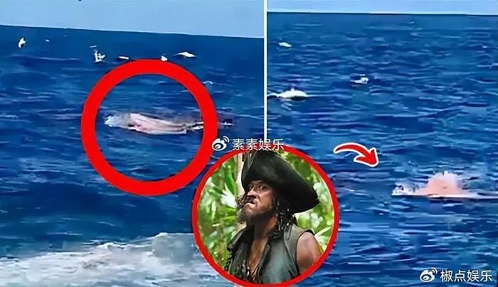 《加勒比海盗》演员遭鲨鱼攻击身亡，被咬掉手和腿，遇害画面公开 - 4