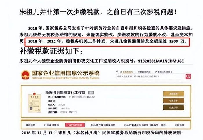 宋祖儿漏税录音曝光，多次漏税达1500万？ - 4