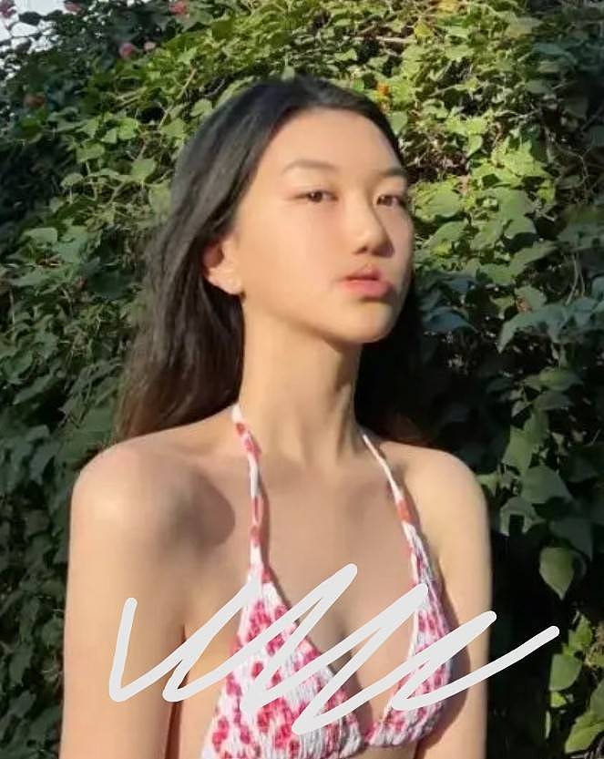 李嫣晒母女同框油画，打扮性感胸前仅一个蝴蝶结，气质与王菲神似 - 5