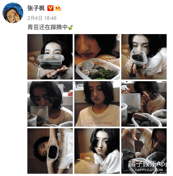 焉栩嘉又双叒谈恋爱了？新女友疑似是张子枫，网友直呼妹妹快跑！ - 36