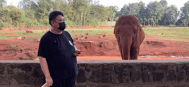相声演员孙越近况曝光，与大象同框互动，曾在动物园养象十年 - 12