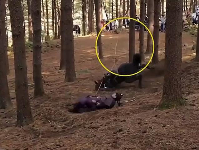 韩古装剧陷虐马致死争议，马匹被绊倒狠摔在地，片场视频曝光 - 4