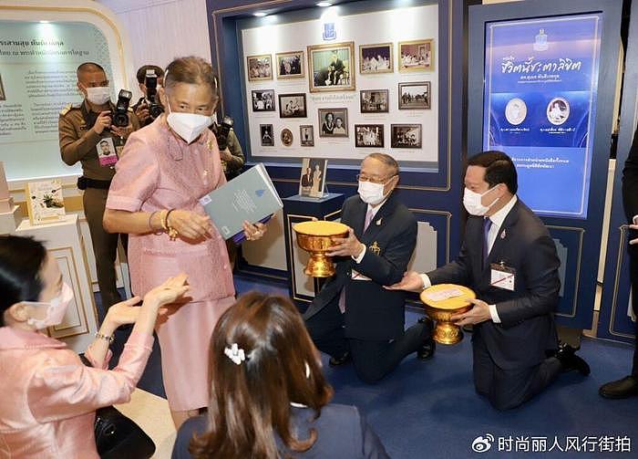 诗琳通公主亮相庆祝69岁生日！穿紫裙亮相消瘦了很多，头发都白了 - 12