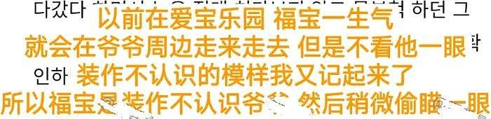 福宝没认出韩国饲养员，姜爷爷拼命打圆场找理由，韩网友大破防 - 14