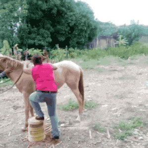 搞笑GIF趣图：大姐，还没上去就跌倒，看来你是真不适合骑马！ - 1