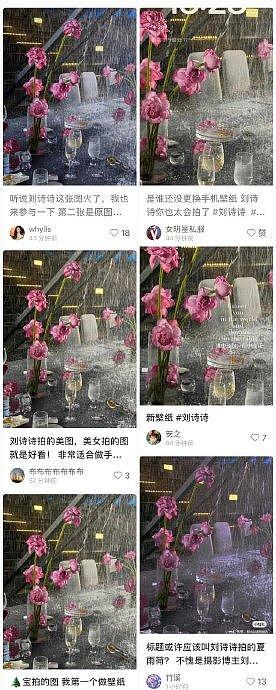 谁还没换刘诗诗拍的雨打荷花壁纸️ - 7